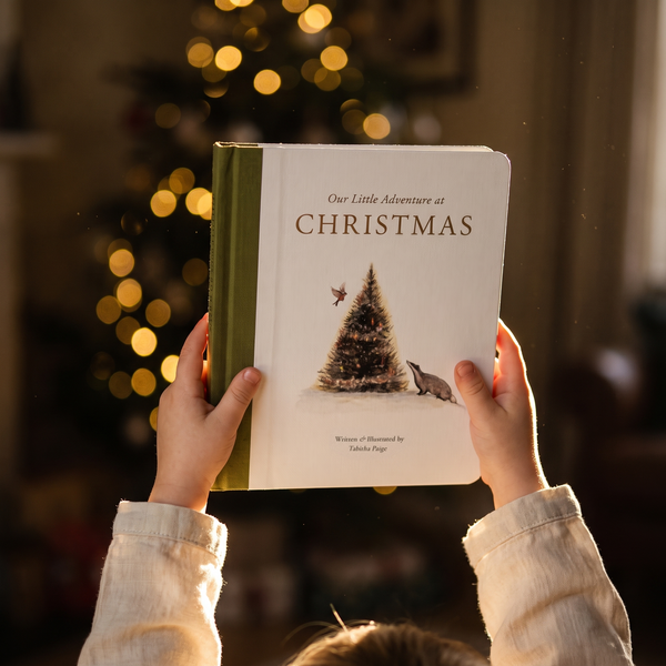 Our Little Adventure at Christmas