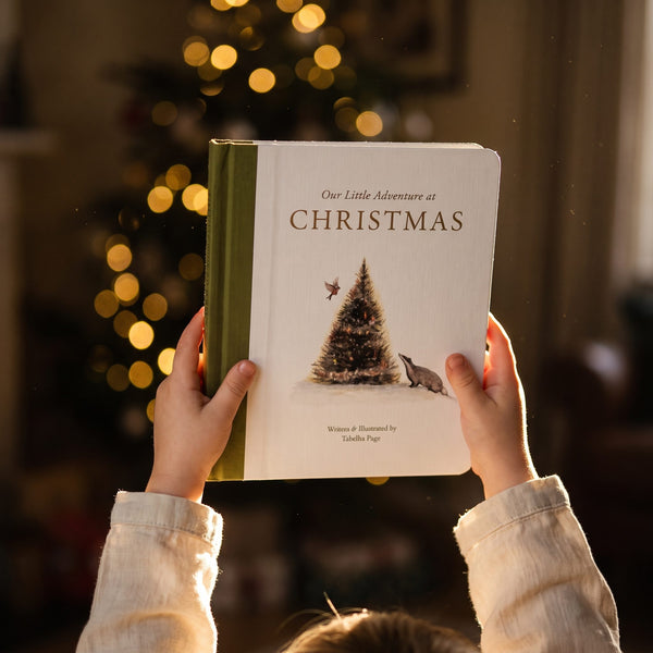 Our Little Adventure at Christmas