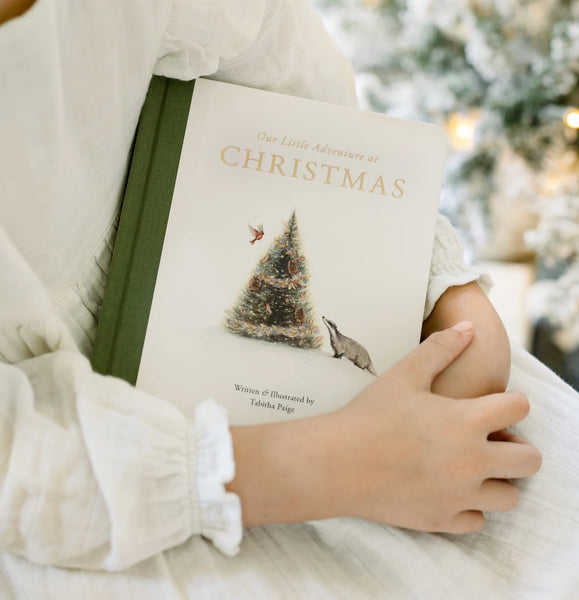 Our Little Adventure at Christmas - Our Little Adventure at Christmas