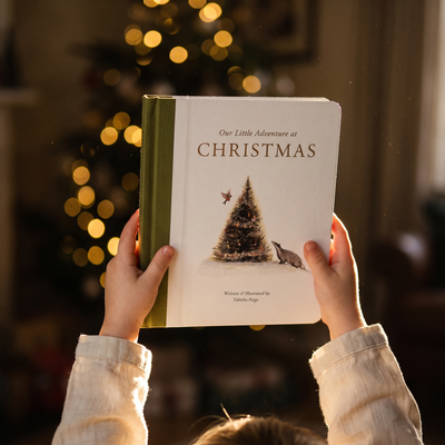 Our Little Adventure at Christmas