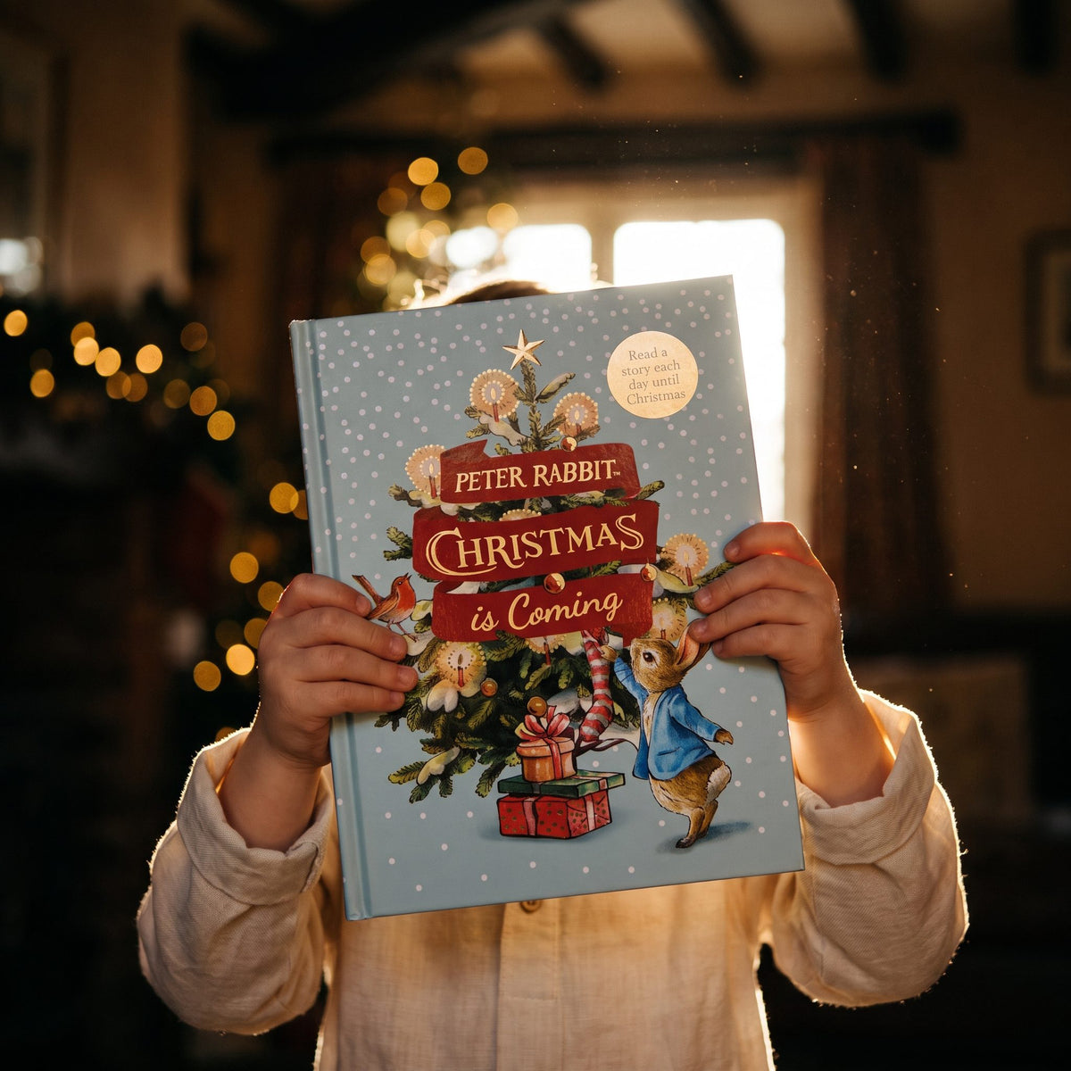 Peter Rabbit: Christmas is Coming - Main Image